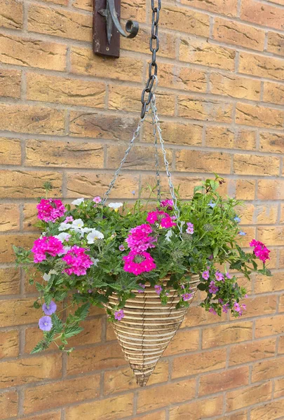 Cesta colgante de mimbre cono con flores de petunia rosa y blanca —  Fotos de Stock