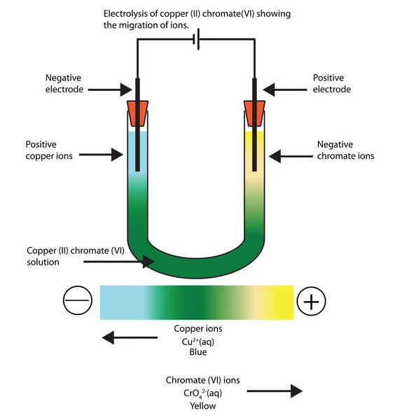 Diagramm der Elektrolyse von Kupfer (ii) Chromat (vi) Aussaat — Stockvektor