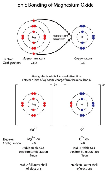 Диаграмма показывает ионную связь в оксиде магния MgO — стоковый вектор