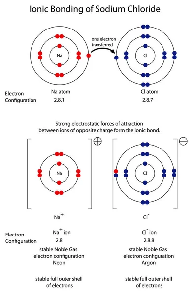 Schéma montrant la liaison ionique dans le chlorure de sodium — Image vectorielle