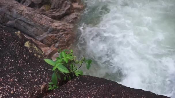 Krásy Přírody Vodopády Proudí Rozsedlinách Skal — Stock video