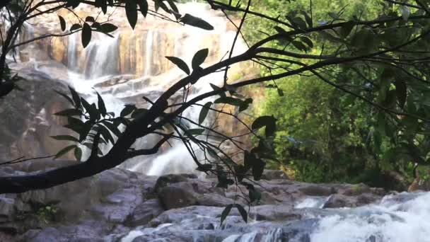 Beauty Nature Waterfalls Flow Clefts Rocks — Stock Video