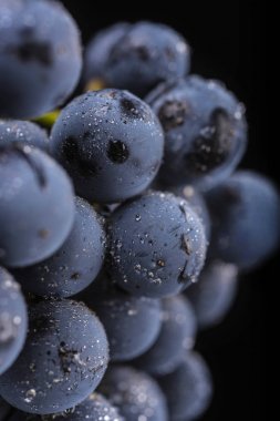 Yakın, çilek üzüm suyu ile karanlık grup düşünceye siyah arka plan üzerine izole düşük ışıkta