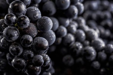 Yakın, çilek üzüm suyu ile karanlık grup düşünceye siyah arka plan üzerine izole düşük ışıkta