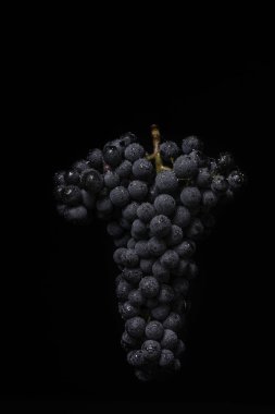 Meyveleri koyu siyah arka plan üzerine izole düşük ışıkta üzüm demet