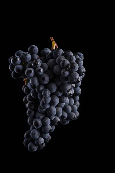 Berries of dark bunch of grape  in low light isolated on black background — Stock Photo, Image