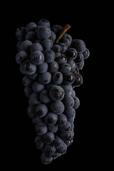 Baies de grappe foncée de raisin en basse lumière isolées sur fond noir — Photo