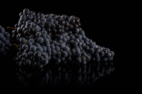 Close up, berries of dark bunch of grape with water drops in low light isolated on black background — Stock Photo, Image