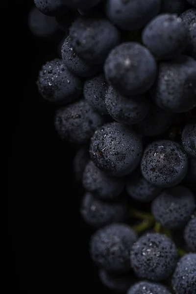 De cerca, bayas de racimo oscuro de uva con gotas de agua en baja luz aisladas sobre fondo negro —  Fotos de Stock