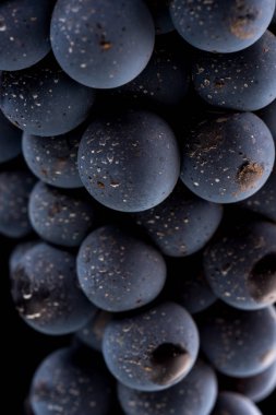 Yakın, çilek üzüm suyu ile karanlık grup düşünceye siyah arka plan üzerine izole düşük ışıkta