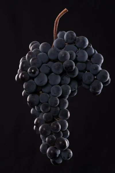 すぐ、暗いたくさん水とブドウの果実は黒い背景に分離された低照度で低下します。 — ストック写真