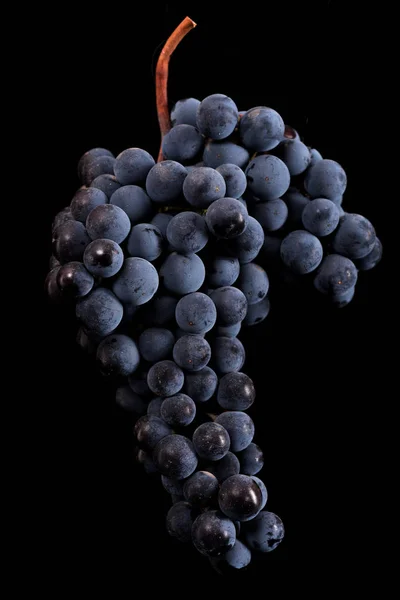 黒の背景に分離された低照度でブドウの暗い束の果実 — ストック写真