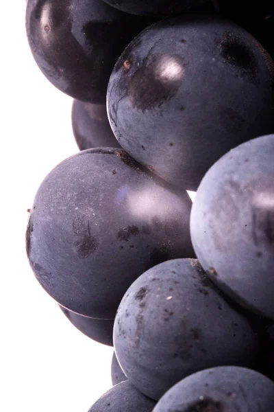 Jagody ciemny kiści winogron z woda spada w niski światło na białym tle na białym tle — Zdjęcie stockowe