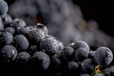 Yakın, çilek üzüm suyu ile karanlık grup düşünceye siyah arka plan üzerine izole düşük ışıkta