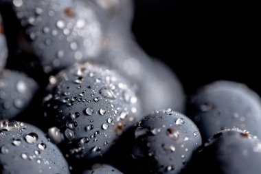 Yakın, çilek üzüm suyu ile karanlık grup düşünceye siyah arka plan üzerine izole düşük ışıkta