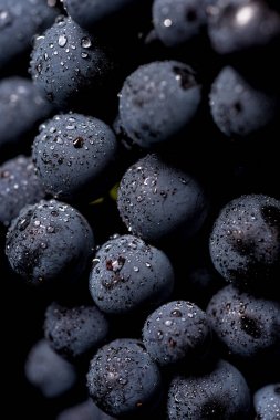 Yakın, çilek üzüm suyu ile karanlık grup düşünceye siyah arka plan üzerine izole düşük ışıkta