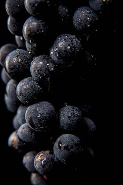 Yakın, çilek üzüm suyu ile karanlık grup düşünceye siyah arka plan üzerine izole düşük ışıkta