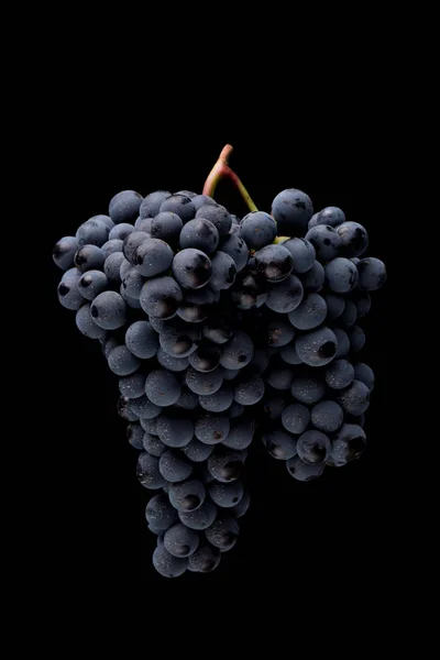 Jagody z ciemnym kiść winogron w słabym świetle na białym na czarnym tle — Zdjęcie stockowe