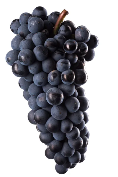 Close Berries Dark Bunch Grape Water Drops Low Light Isolated — Stock Photo, Image