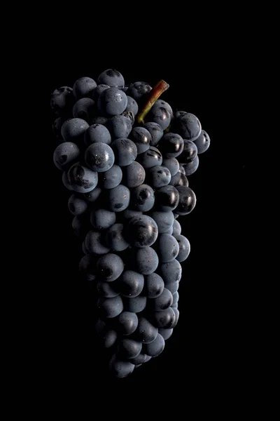 Ягоды темного гроздья винограда при низком освещении изолированы на черном фоне — стоковое фото