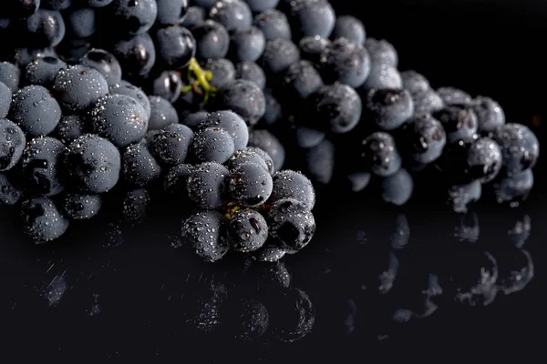 Bagas de cacho escuro de uva em pouca luz isoladas em fundo preto — Fotografia de Stock