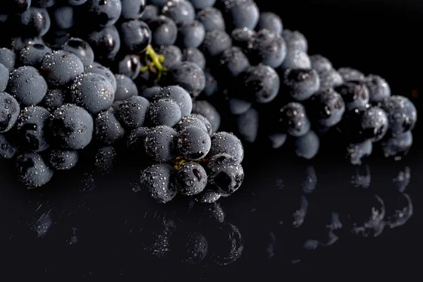 Berries of dark bunch of grape  in low light isolated on black background — Stock Photo, Image