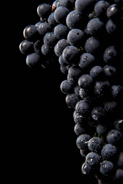 Szőlő-ban alacsony könnyű elszigetelt fekete háttér sötét csomó bogyók — Stock Fotó
