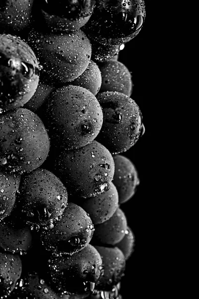 Közeli, sötét csomó szőlő-ban alacsony könnyű bogyók elszigetelt — Stock Fotó