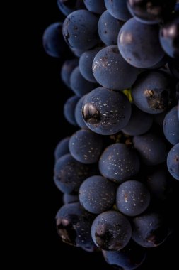 üzüm üzüm, izole su damla, makro çekim, siyah adam