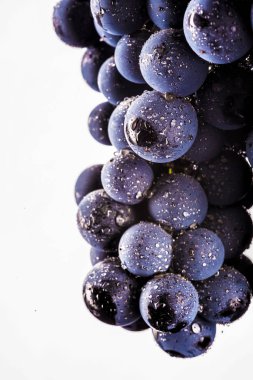 üzüm üzüm, izole su damla, makro çekim, siyah adam
