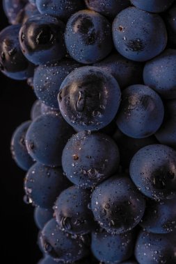 üzüm üzüm, izole su damla, makro çekim, siyah adam