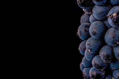 üzüm üzüm, izole su damla, makro çekim, siyah adam