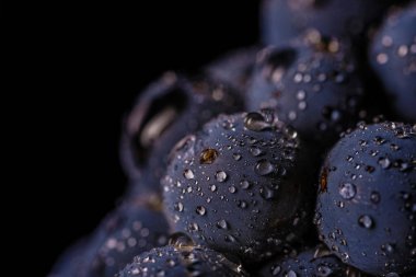 üzüm üzüm, izole su damla, makro çekim, siyah adam