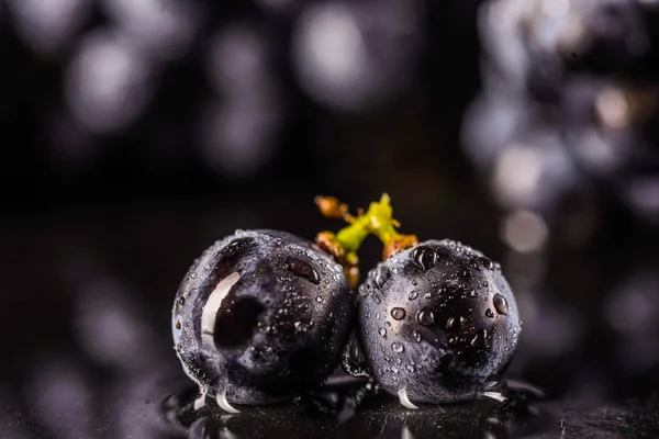 Виноградні лози ізольовані, краплі води, макро дріб, чорний фон — стокове фото
