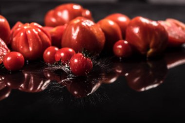 Siyah arka plan, su damlaları, portre, ayna üzerinde domates