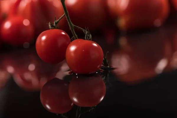 Tomaten auf schwarzem Hintergrund, Wassertropfen, Spiegel — Stockfoto