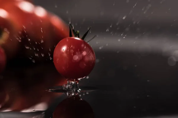 Pomodori su fondo nero, gocce d'acqua, specchio — Foto Stock
