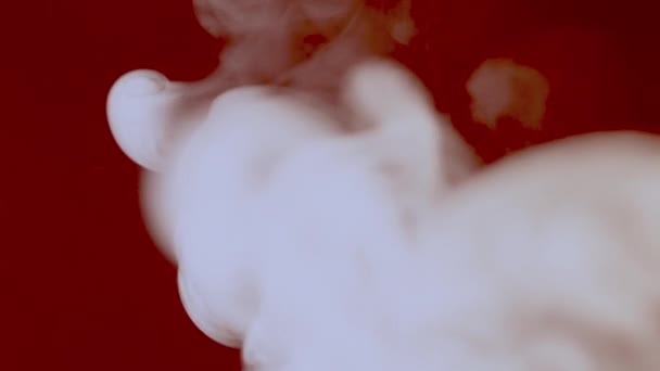 Slowmotion Witte Wolk Van Sigarettenrook Geïsoleerde Achtergrond — Stockvideo