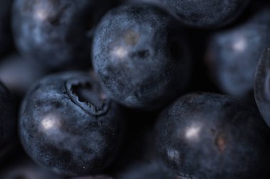 Yaban mersini arka plan. Olgun ve sulu taze yaban mersini cl aldı