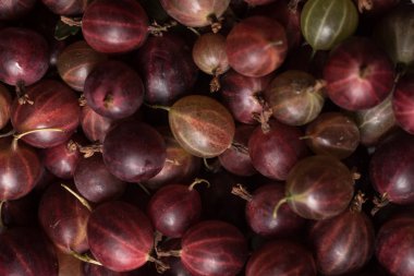 Üstten Görünüm kırmızı bektaşi üzümü meyve. Doğal arka plan.