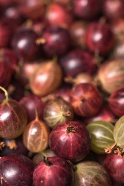 Üstten Görünüm kırmızı bektaşi üzümü meyve. Doğal arka plan.