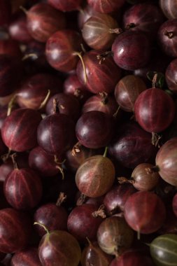 Üstten Görünüm kırmızı bektaşi üzümü meyve. Doğal arka plan.