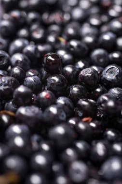 Yaban mersini arka plan. Olgun ve sulu taze yaban mersini cl aldı