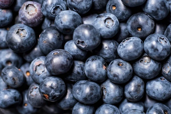 Yaban mersini arka plan. Olgun ve sulu taze yaban mersini cl aldı