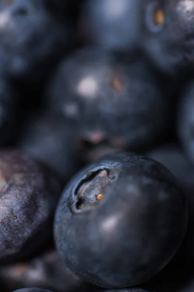 Blueberry background. Ripe and juicy fresh picked blueberries cl — Stock Photo, Image
