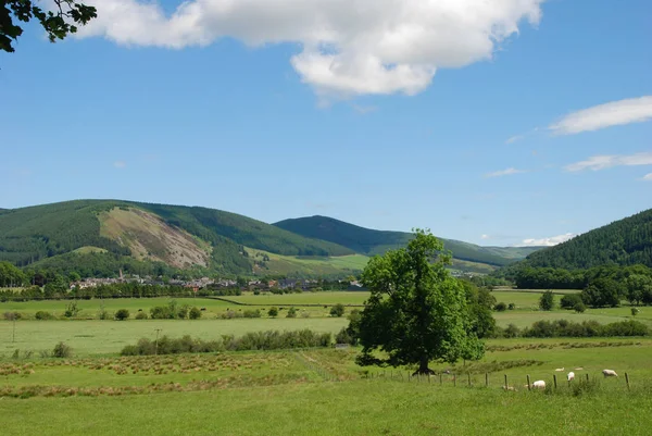 Tweed valley at Traquair near Innerleithen in Scotland — Stock Photo, Image