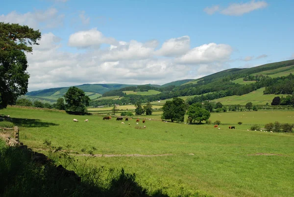 El valle de Tweed cerca de Traquair en Peebleshire — Foto de Stock