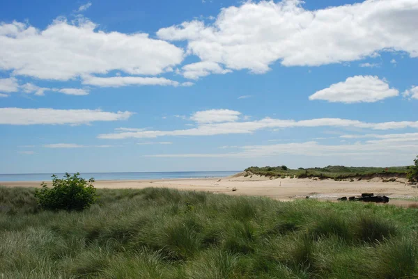 Deniz ve nehir Aln estuary, Alnmouth kumsalda