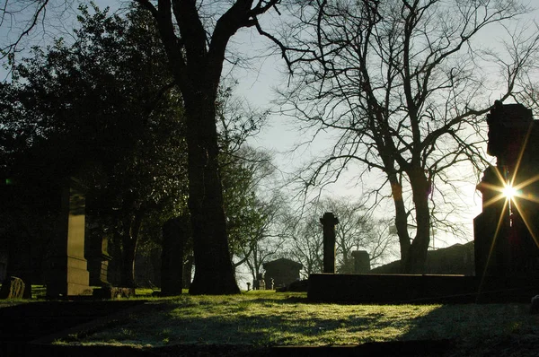Greyfriars cmentarz w słońcu zimy — Zdjęcie stockowe
