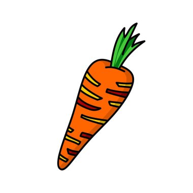 Havuç karikatür renkli düz vektör yiyecek çizim dekorasyon ve tasarım izole beyaz zemin üzerine